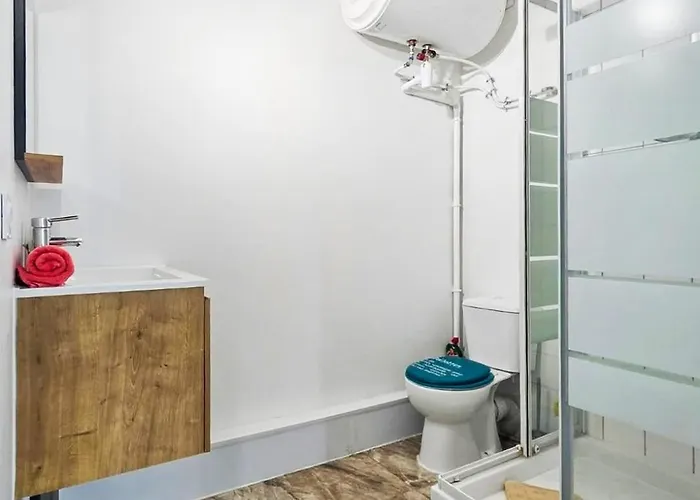 G1 Superbe Appart, Cosy, Calme, Rdc * Виши