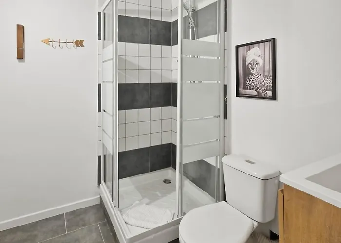 G1 Superbe Appart, Cosy, Calme, Rdc * Виши